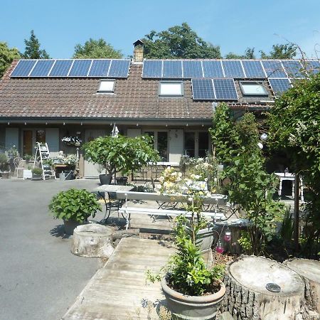 Passe-Partout Oedelem Exterior foto